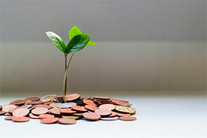 240 тысяч подали заявки на Canada Recovery Benefit 