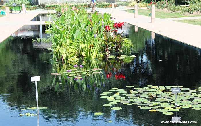 Royal Botanical Gardens парк Royal Botanical Gardens парк