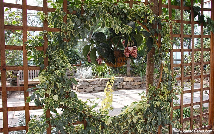 Royal Botanical Gardens цветы Royal Botanical Gardens цветы